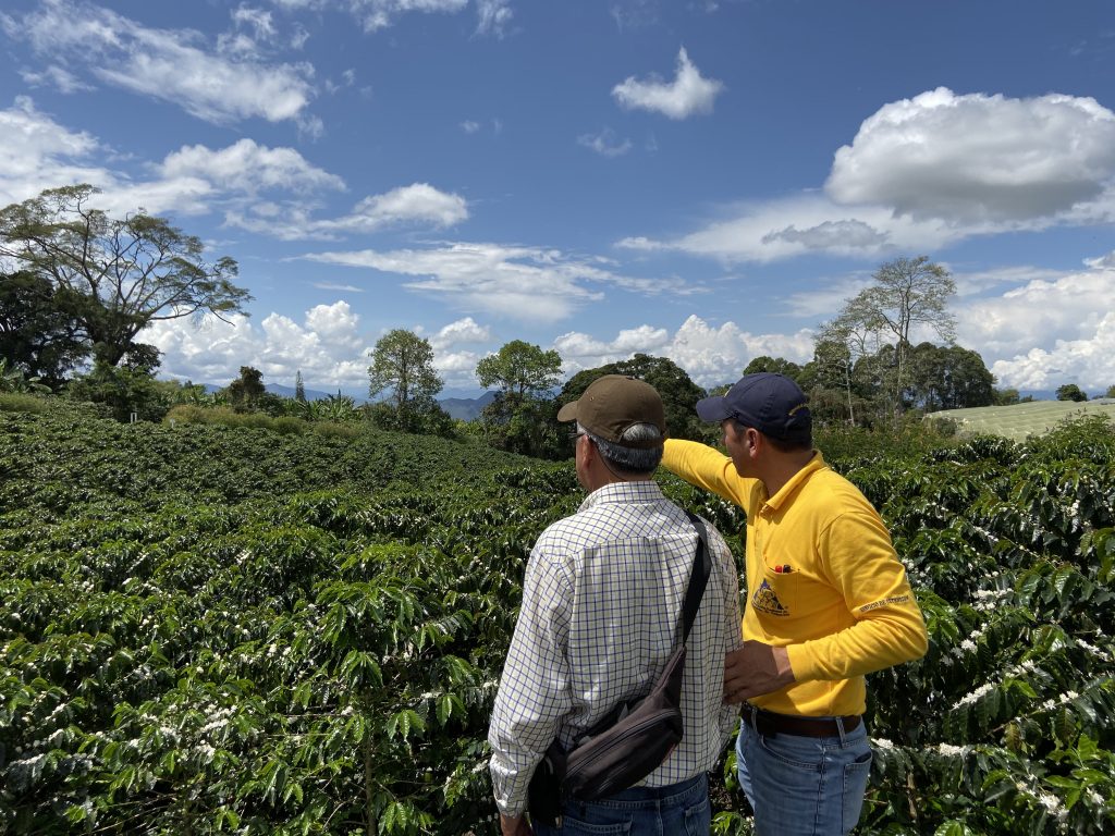Café del Huila